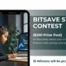 Bitsave