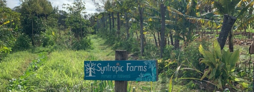 RM Terra's Syntropic Farm